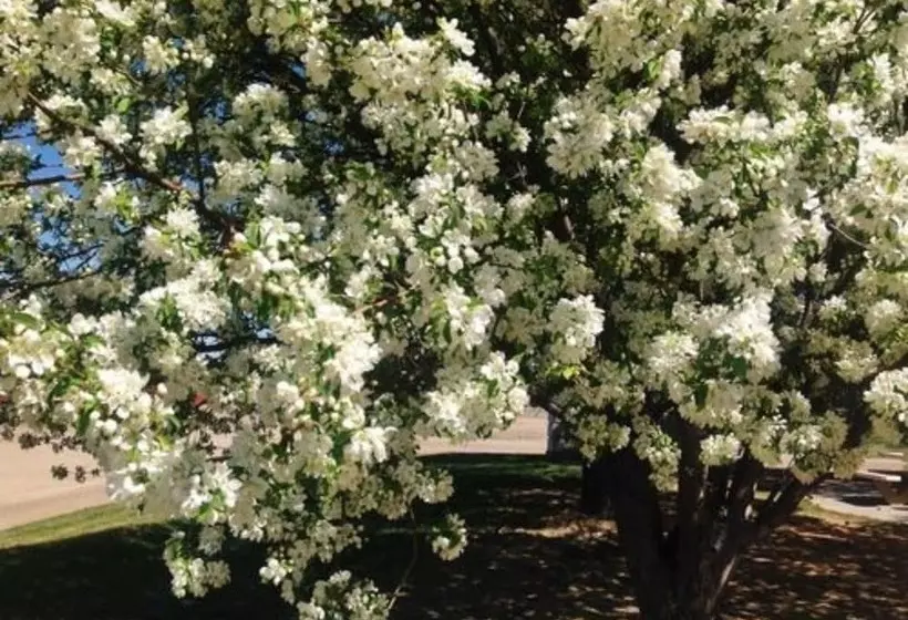 Bed and Breakfast Claremont Inn & Winery