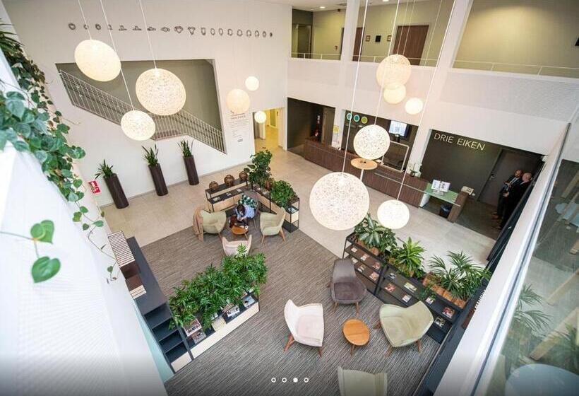 בית מלון כפרי Drie Eiken