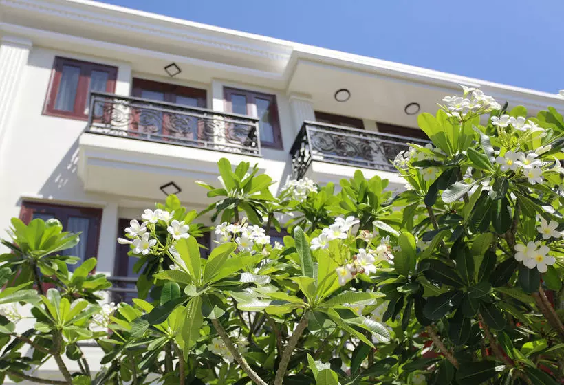 هتل Hoi An Travel Lodge