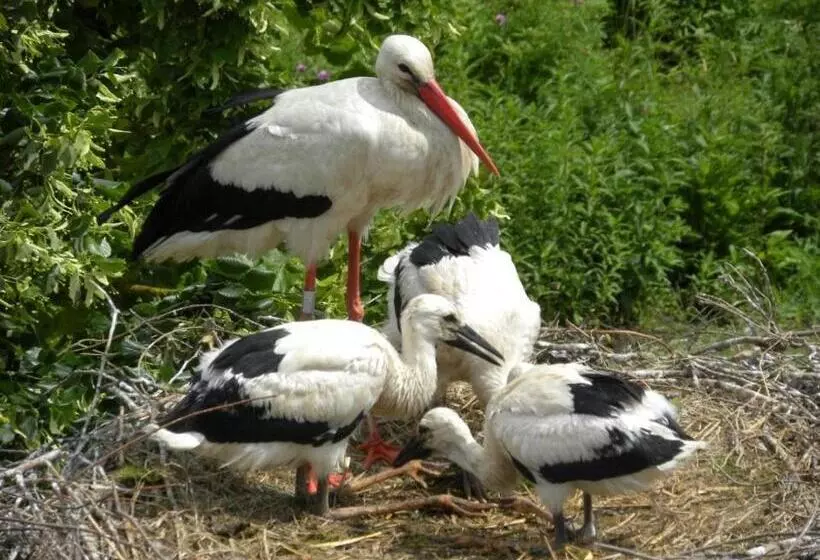 호텔 Hôtel Berceau Du Vigneron