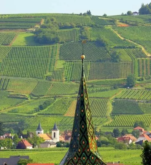 호텔 Hôtel Berceau Du Vigneron