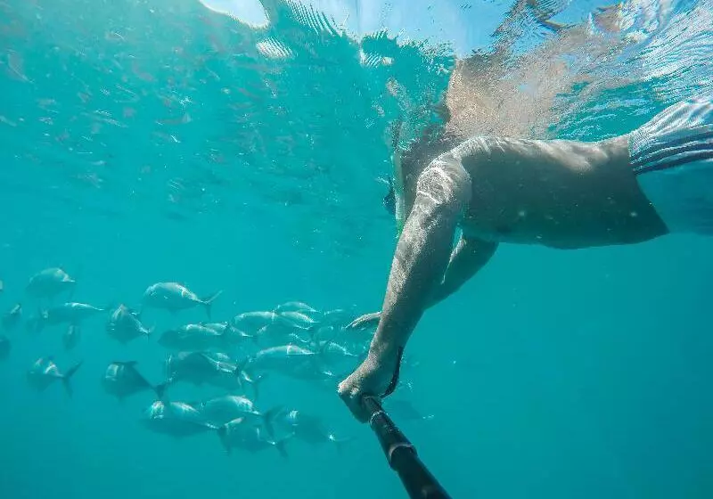 酒店 Modessa Island Resort