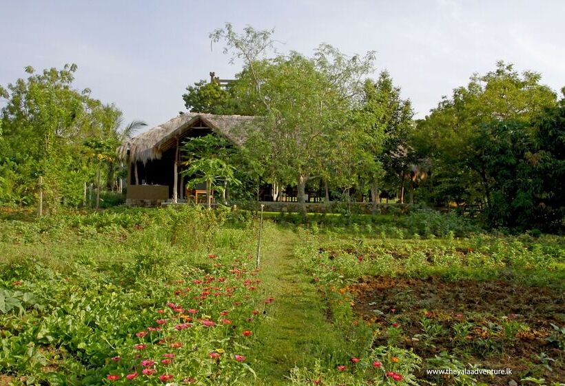 ホテル The Yala Adventure