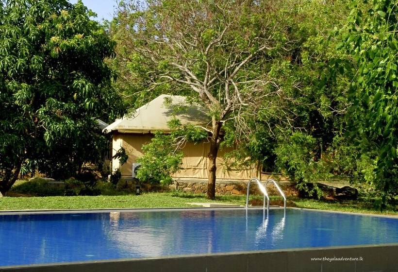 ホテル The Yala Adventure