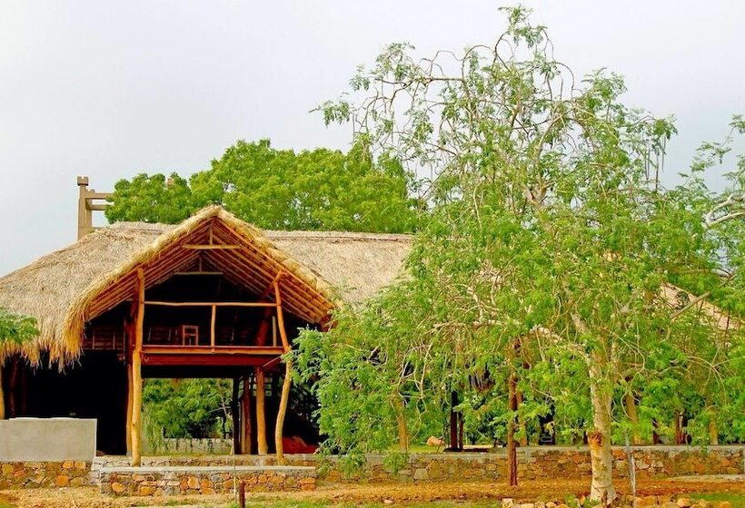 ホテル The Yala Adventure