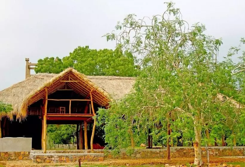 호텔 The Yala Adventure