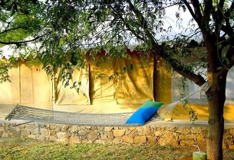 Hotel The Yala Adventure