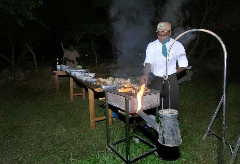 ホテル The Yala Adventure