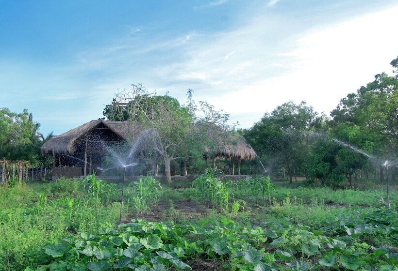 ホテル The Yala Adventure