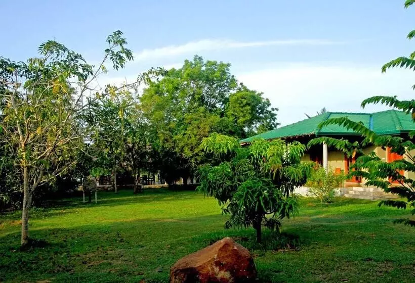 호텔 The Yala Adventure