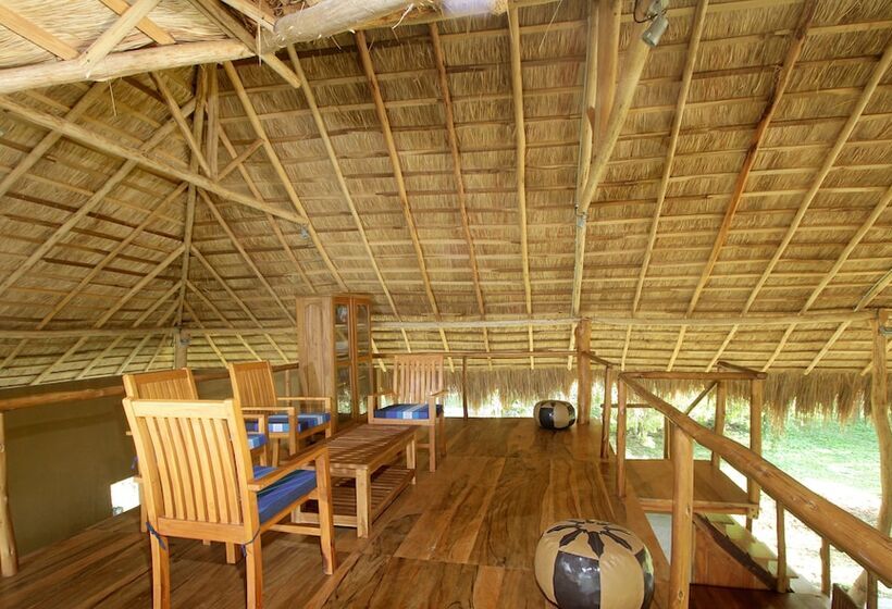 ホテル The Yala Adventure