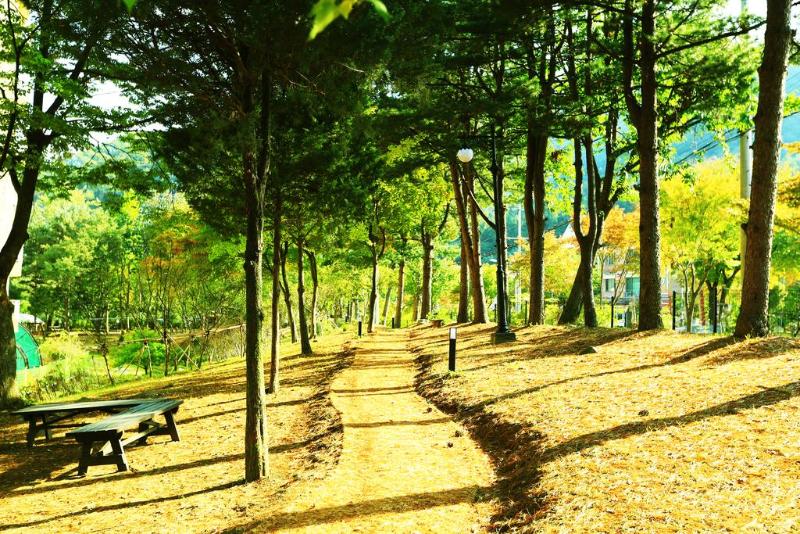 Kensington Resort Gapyeong