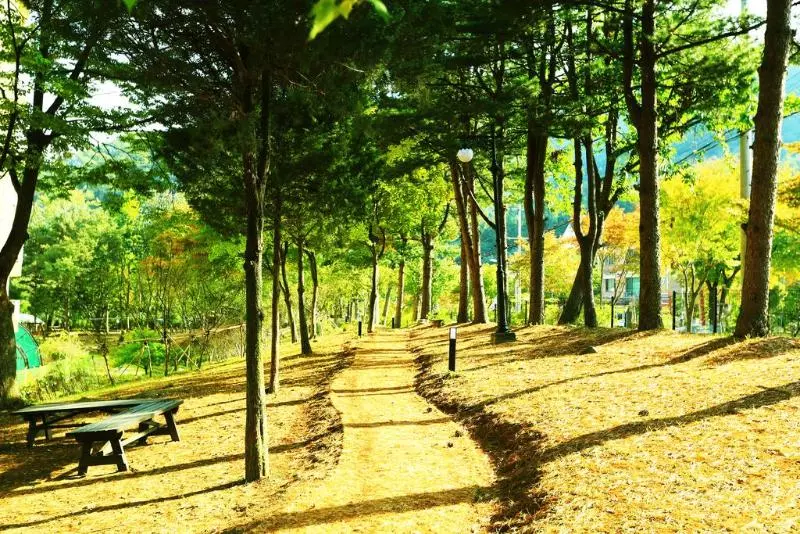 Kensington Resort Gapyeong