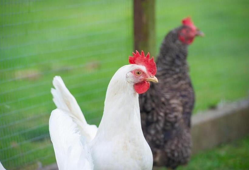 ベッドアンドブレックファースト Laundimer House