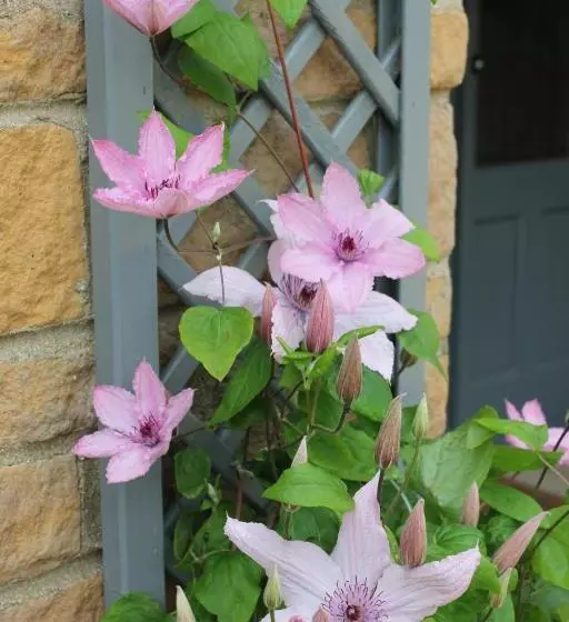 مبيت وإفطار Laundimer House