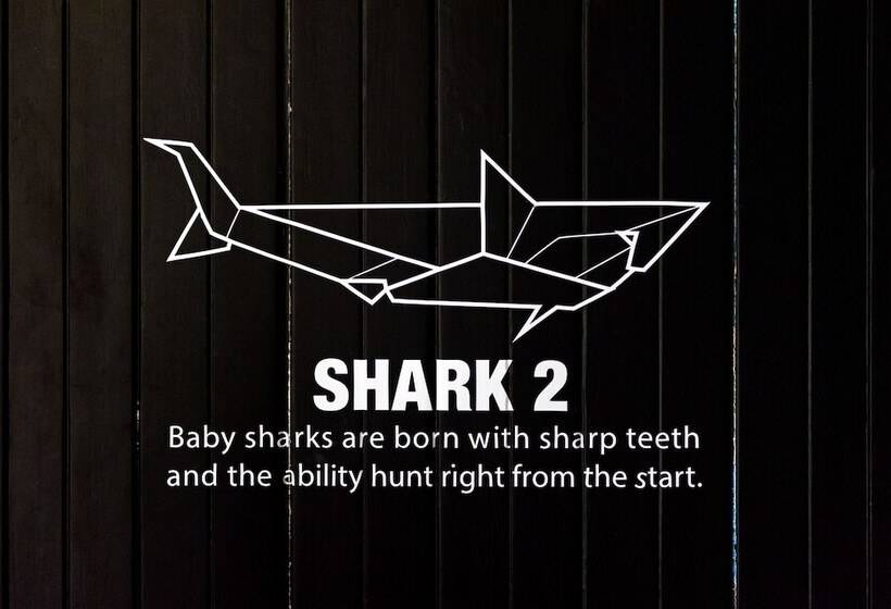 Monkey Dive Hostel Khaolak