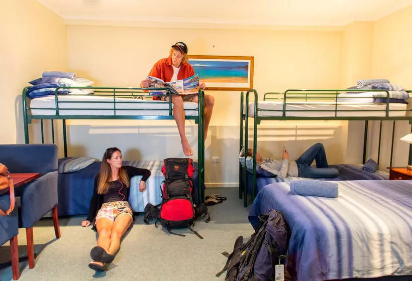 هاستل Adventure Backpackers