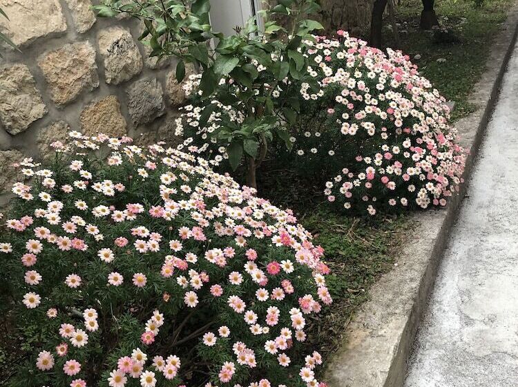 California Apartments