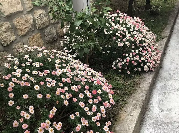 California Apartments