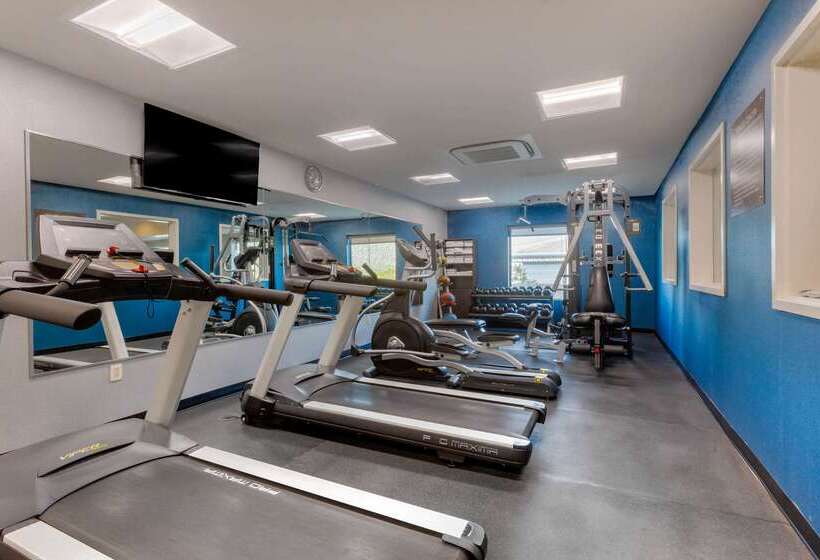 فندق Comfort Suites Of Las Cruces I 25 North