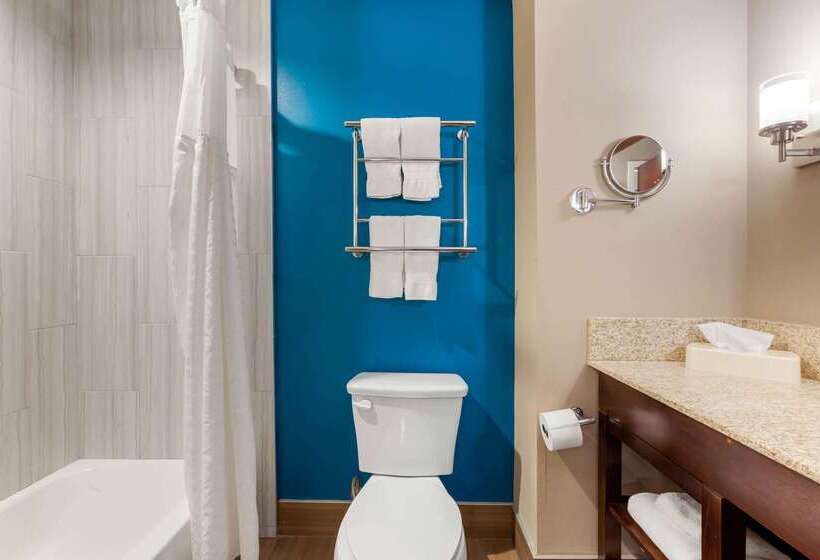 فندق Comfort Suites Of Las Cruces I 25 North