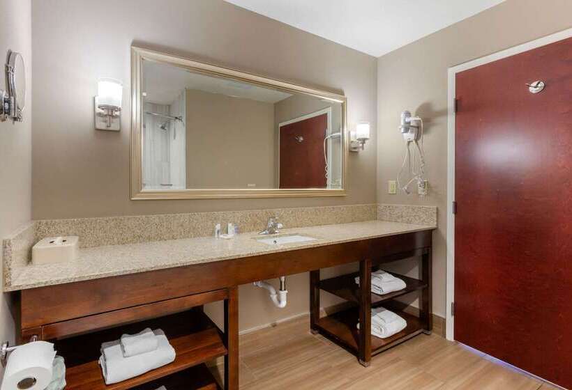 فندق Comfort Suites Of Las Cruces I 25 North