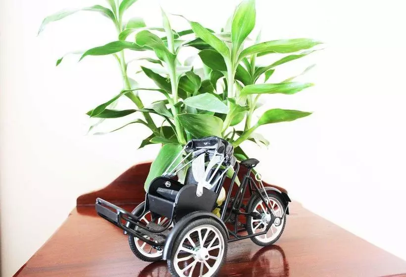 Отель Khollywood