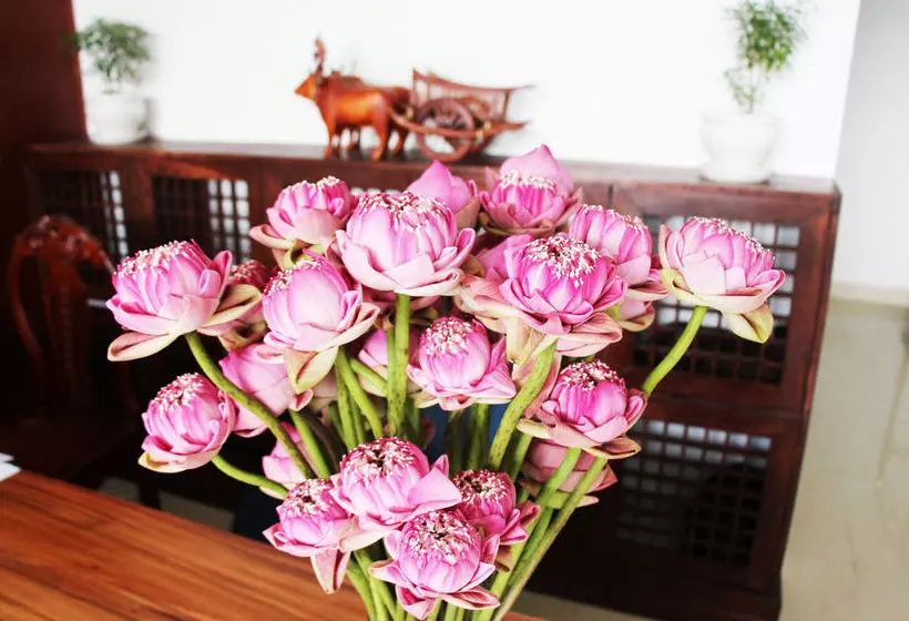 Отель Khollywood