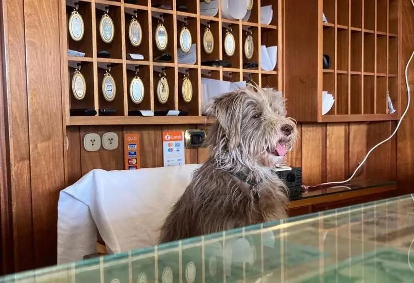 Hotel Ping Pong