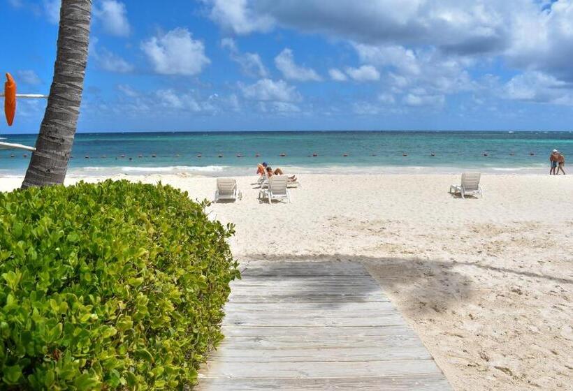 酒店 Playa Turquesa Ocean Club