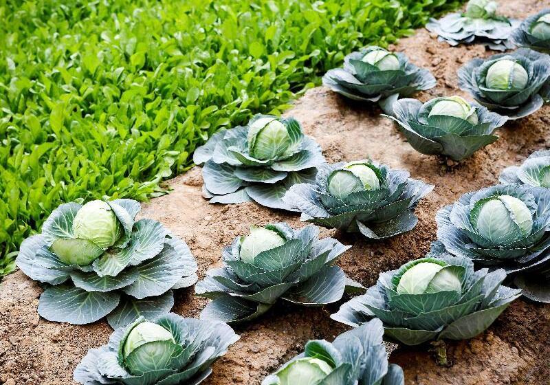 Pullman New Delhi Aerocity An Accor Hotels Brand