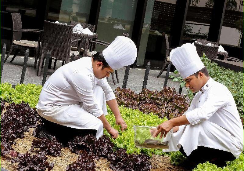 Pullman New Delhi Aerocity An Accor Hotels Brand