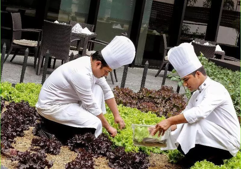 Pullman New Delhi Aerocity An Accor Hotels Brand