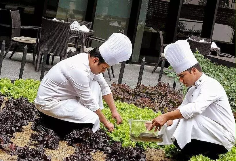 Pullman New Delhi Aerocity An Accor Hotels Brand