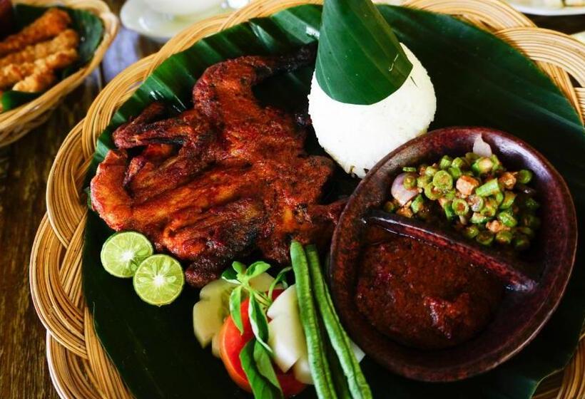 渡假胜地  Sunsethouselombok