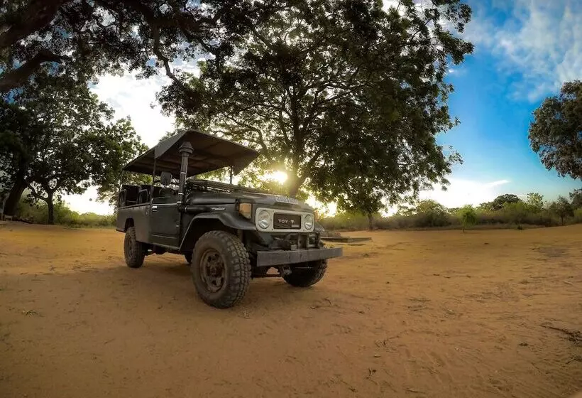 Hotelli Ceylon Wild Safaris Yala