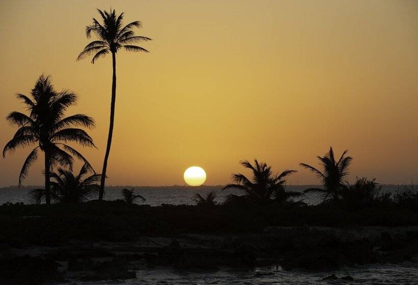 هتل Club Suites At Rum Point