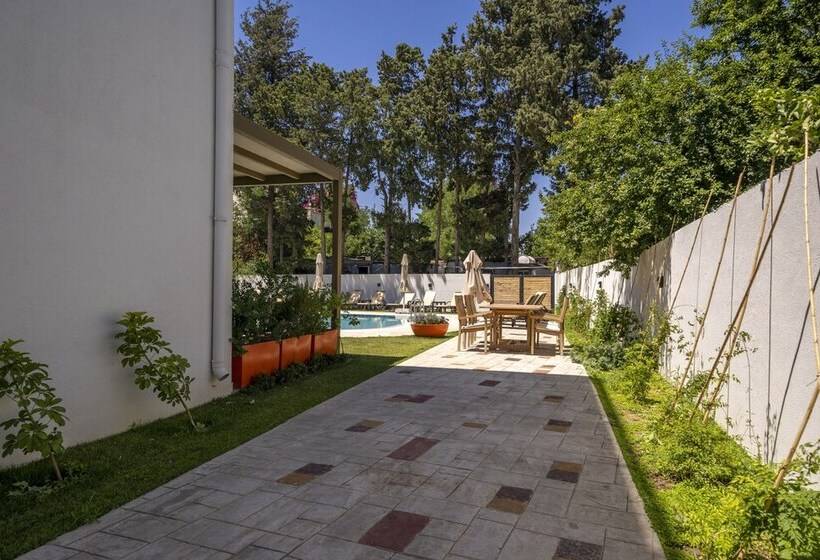 فندق Olive Tree Gündoğan