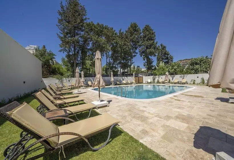 Hotelli Olive Tree Gündoğan