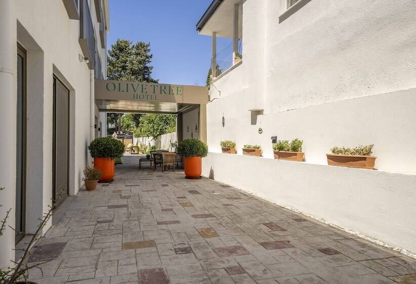 فندق Olive Tree Gündoğan