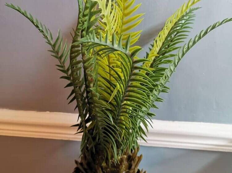 اقامتگاه Stunning 2 Bed House In Sunderland