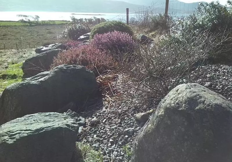 مبيت وإفطار Currane Lodge Bed&Breakfast