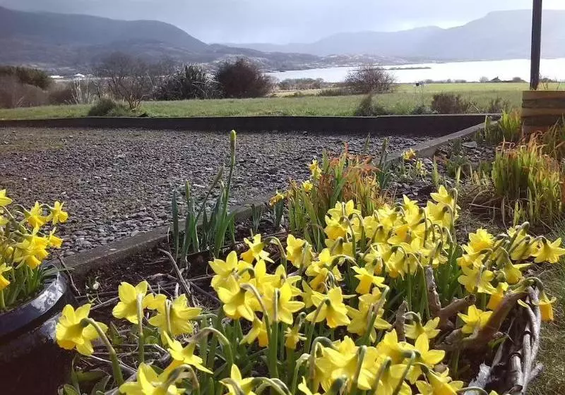 مبيت وإفطار Currane Lodge Bed&Breakfast