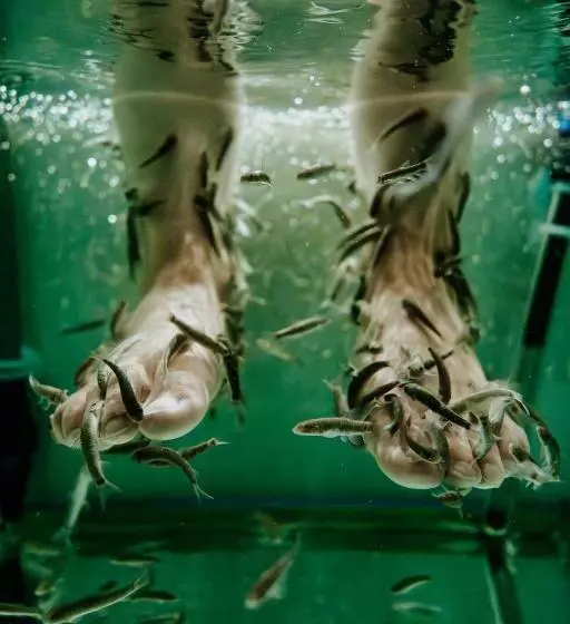 Cam Thermal Resort Hotel & Spa