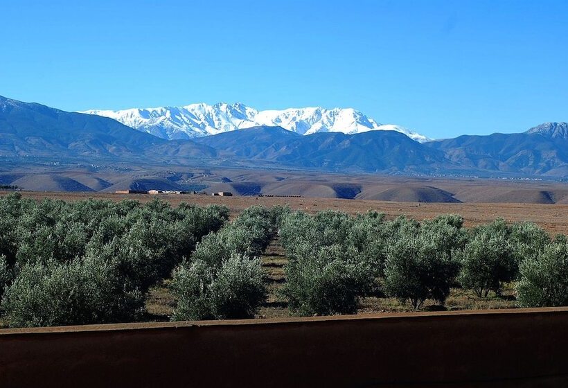 هتل Couleurs Berbères
