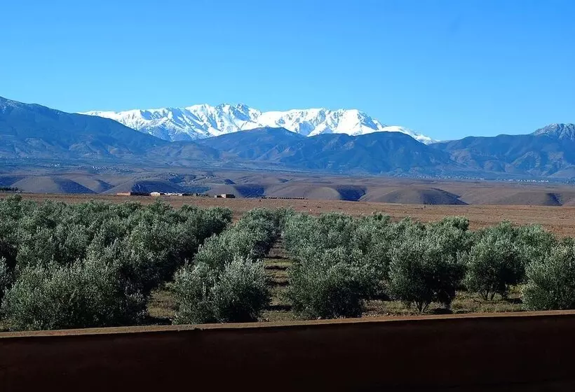 Hotel Couleurs Berbères