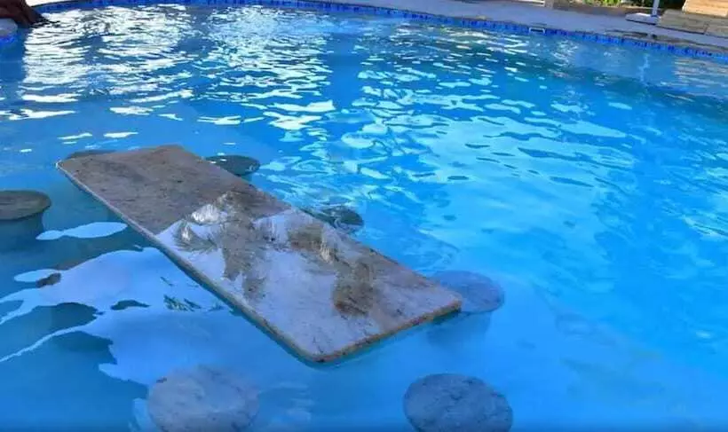 هتل Lake Safari Lodge