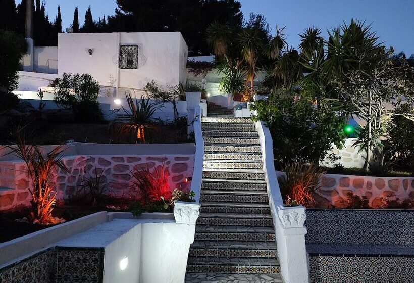 פנסיון Villa Ambre