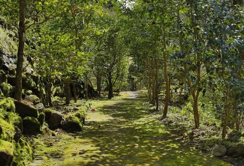 旅館 Oku Yugawara Sansuirou