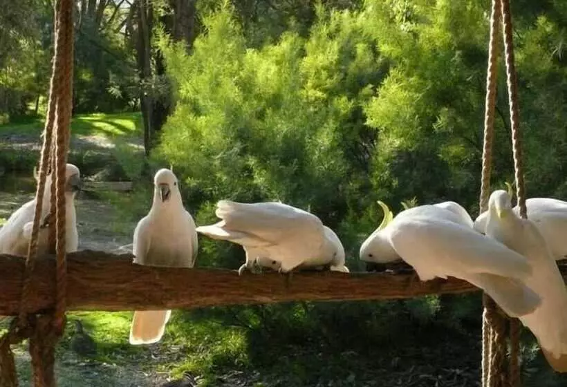 The Burrow At Wombat Bend